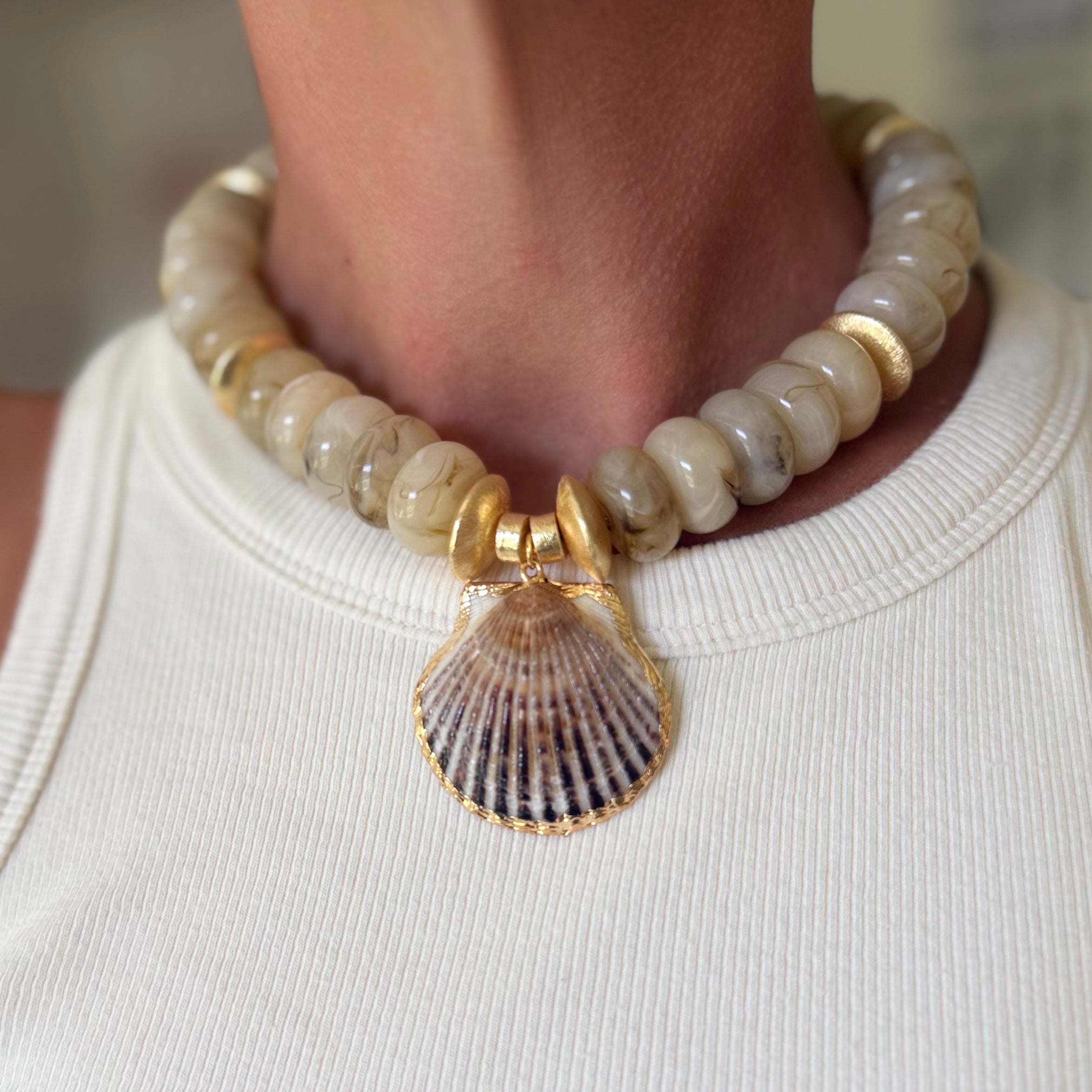 shell story